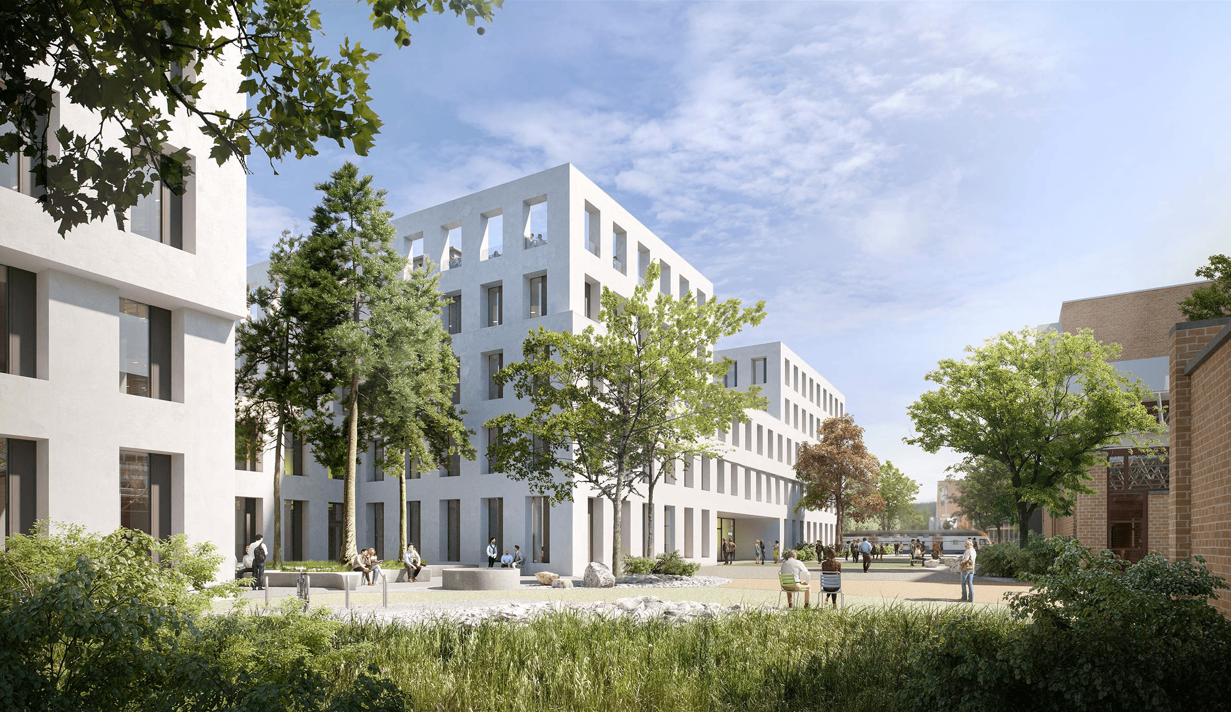 22·26 JED Schlieren